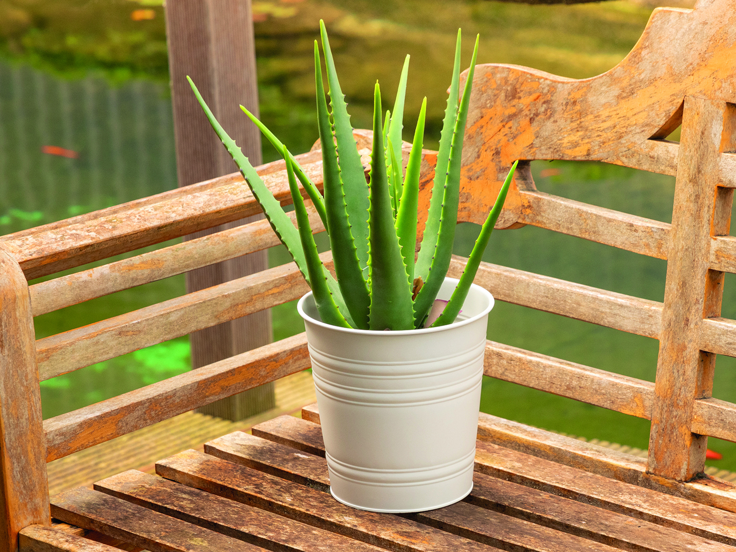 Zinkübertopf 19x19cm Creme