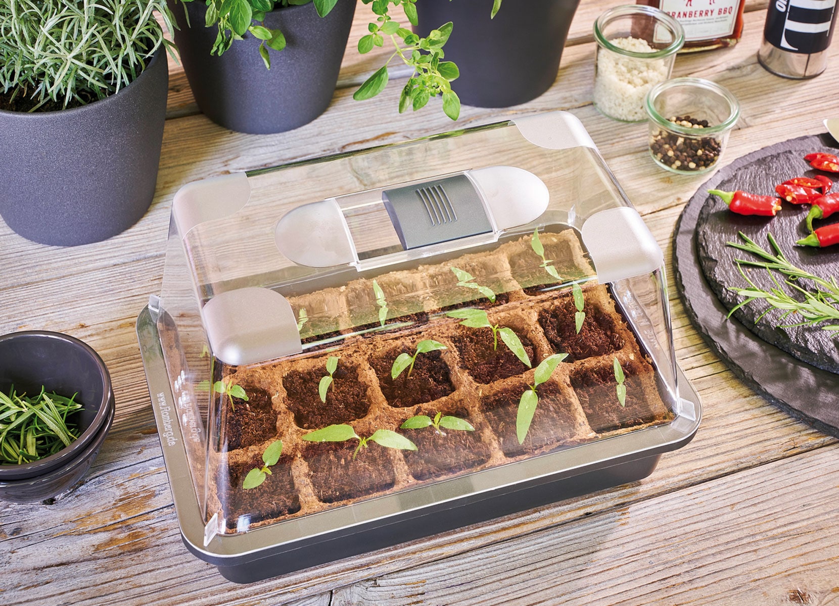 Anzucht-Starter-Set mit Pop-Up-Erde und Zubehör 29x18,5x19cm