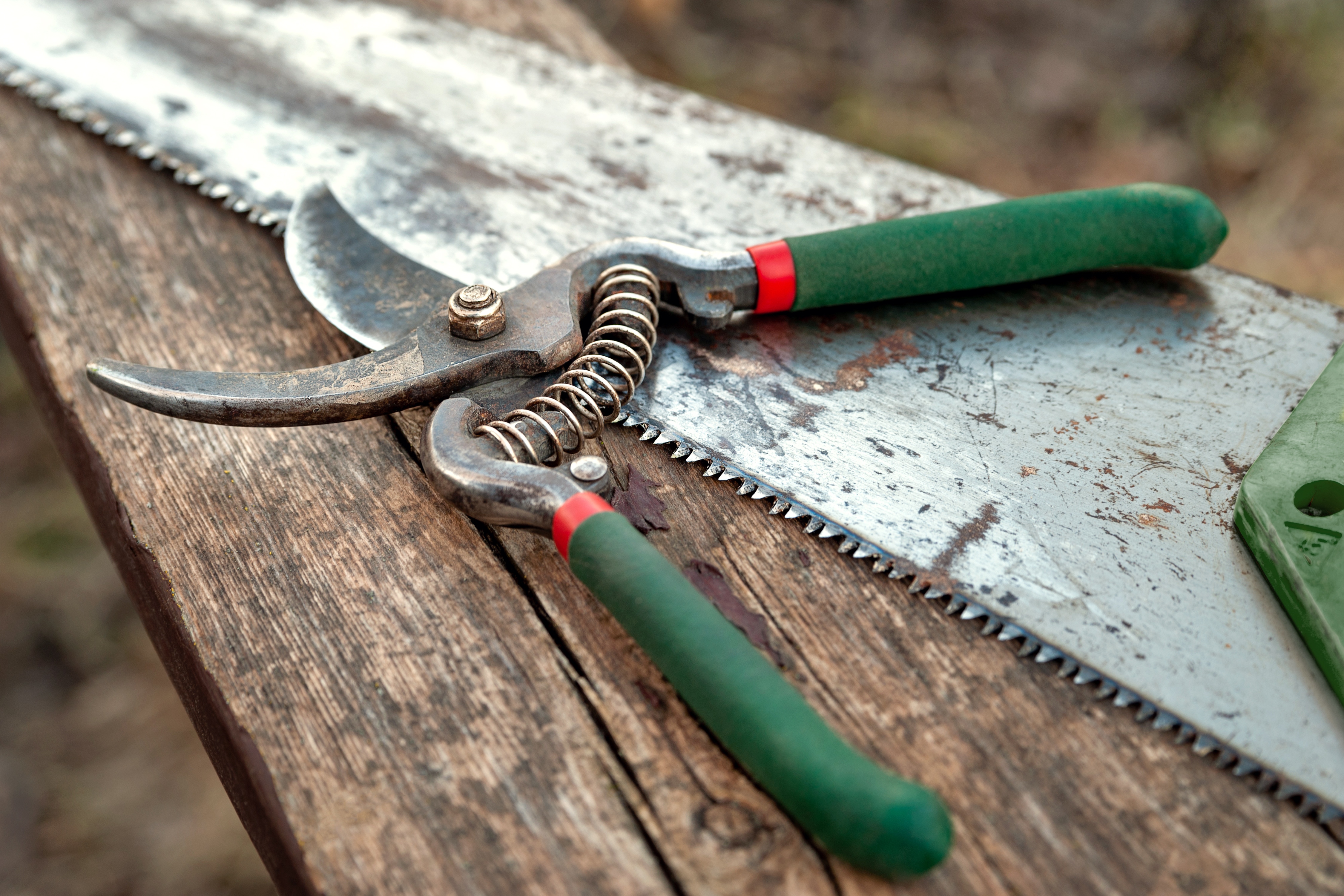AdobeStock_425814500