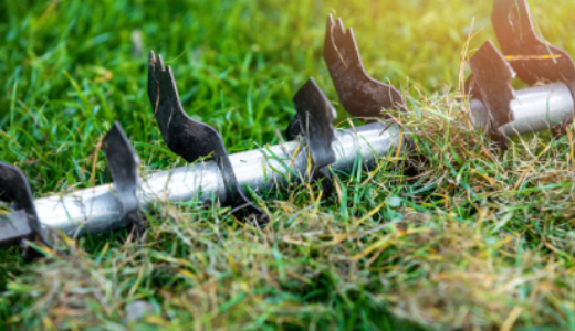 rasen-vertikutieren_(1)