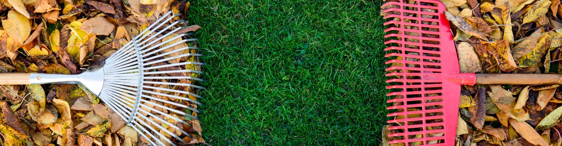 bltter-gartenarbeiten-im-herbst_header