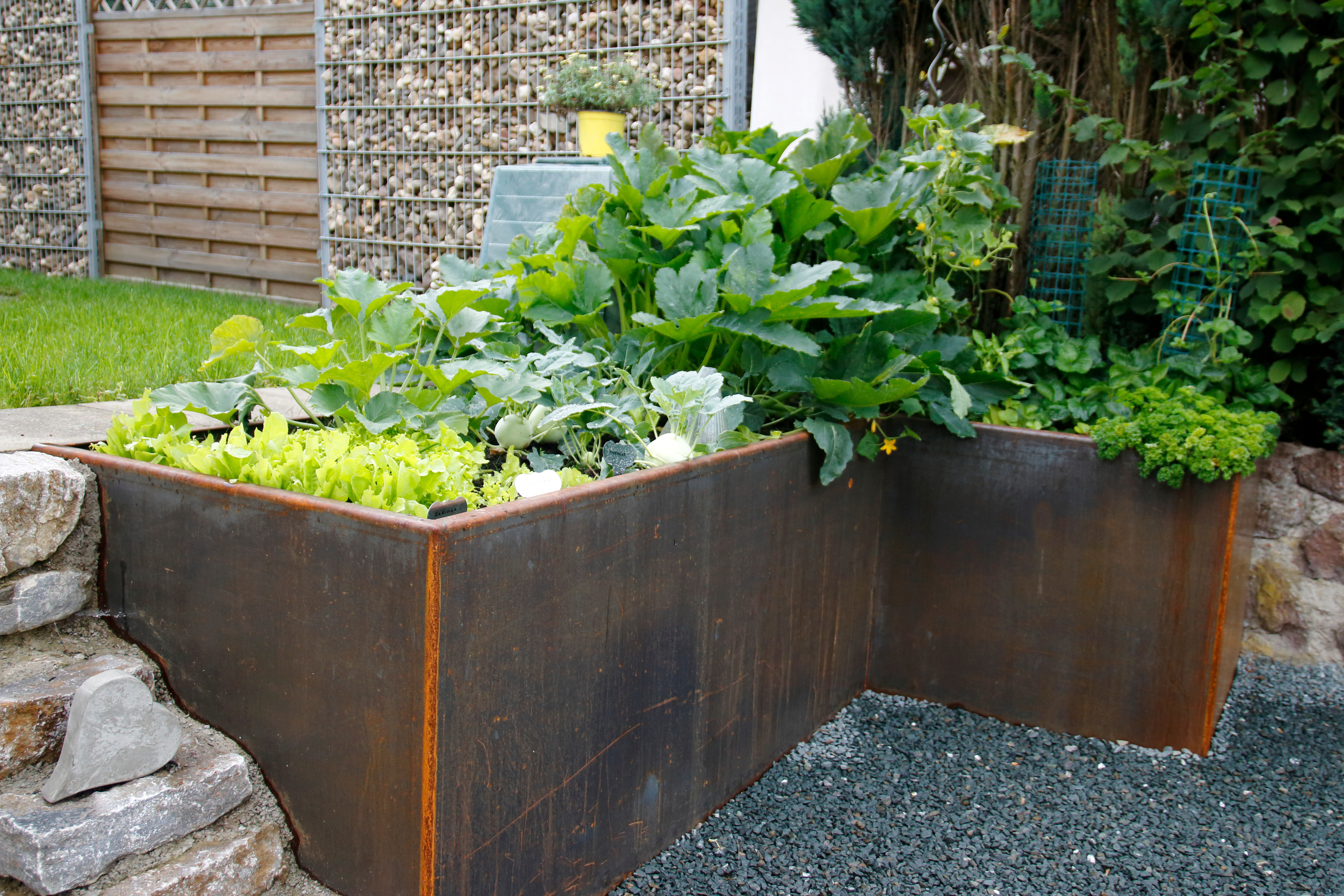 Kräuter im Hochbeet – die besten Tipps und Tricks