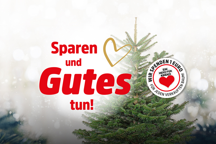 3x2_Nordmanntannen_Image